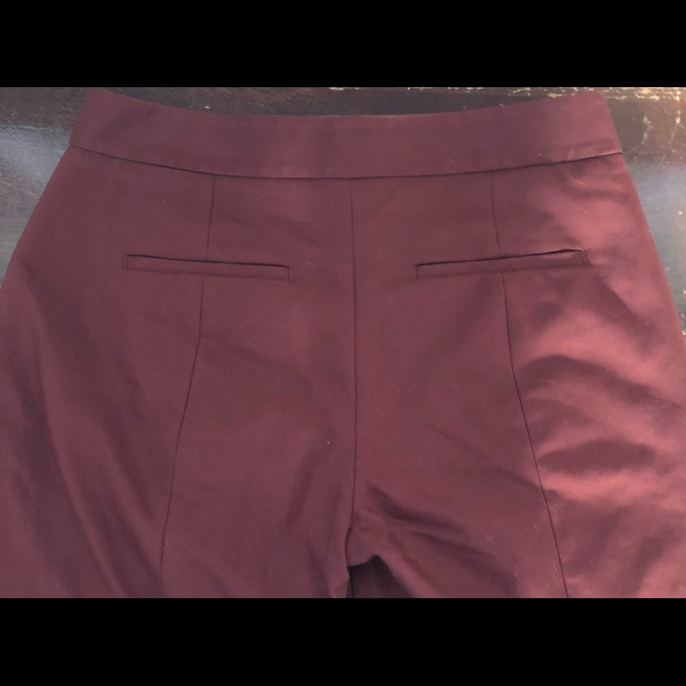 Unusual Color Ankle Dress Pants!